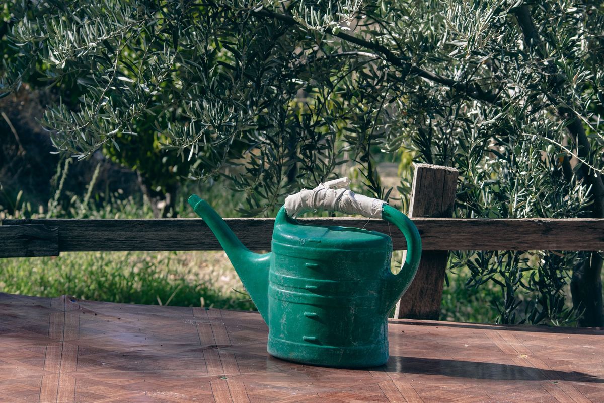 A green watering can with a cloth-wrapped handle on a wooden table, a garden and an olive tree behind it